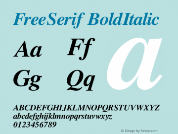 FreeSerif BoldItalic Version $Revision: 1.137 $图片样张