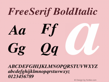 FreeSerif BoldItalic Version $Revision: 1.24 $ Font Sample