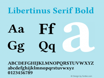 Libertinus Serif Bold Version 6.120图片样张