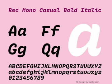 Rec Mono Casual Bold Italic Version 1.057图片样张