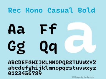 Rec Mono Casual Bold Version 1.059图片样张