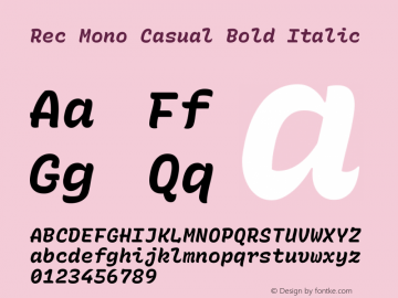 Rec Mono Casual Bold Italic Version 1.059图片样张