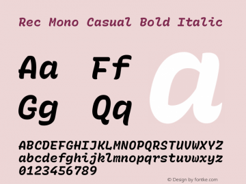 Rec Mono Casual Bold Italic Version 1.061图片样张