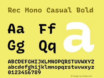 Rec Mono Casual Bold Version 1.062图片样张