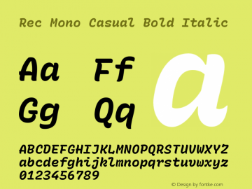 Rec Mono Casual Bold Italic Version 1.062图片样张