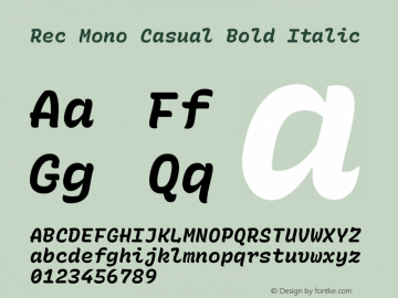 Rec Mono Casual Bold Italic Version 1.063图片样张