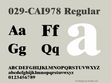 029-CAI978 Regular Version 3.0图片样张