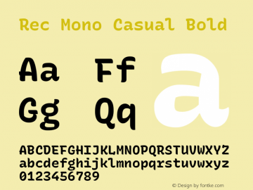 Rec Mono Casual Bold Version 1.064图片样张