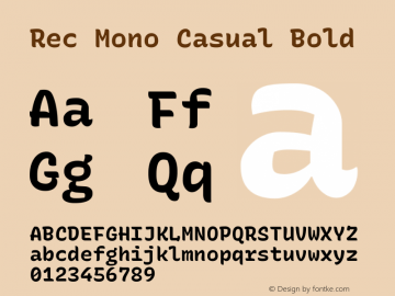 Rec Mono Casual Bold Version 1.065图片样张