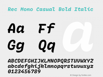 Rec Mono Casual Bold Italic Version 1.065图片样张