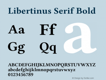 Libertinus Serif Bold Version 7.010;RELEASE图片样张