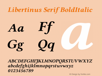 Libertinus Serif BoldItalic Version 7.010;RELEASE图片样张