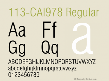 113-CAI978 Regular Version 3.0 Font Sample