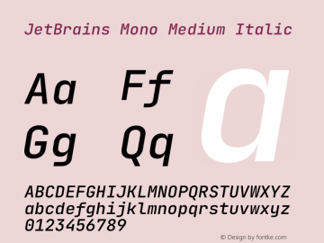 JetBrains Mono Medium Italic Version 2.210 Font Sample