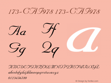 173-CAI978 173-CAI978 Version 3.0 Font Sample