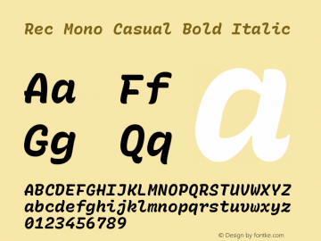 Rec Mono Casual Bold Italic Version 1.066图片样张