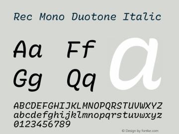 Rec Mono Duotone Italic Version 1.066 Font Sample