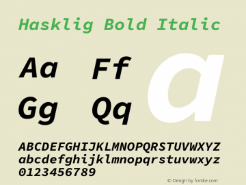 Hasklig Bold Italic Version 1.052;hotconv 1.0.117;makeotfexe 2.5.65602 Font Sample