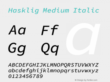 Hasklig Medium Italic Version 1.052;hotconv 1.0.117;makeotfexe 2.5.65602 Font Sample