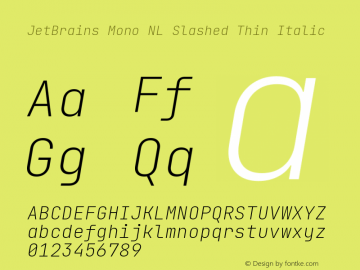 JetBrains Mono NL Slashed Thin Italic Version 2.221; ttfautohint (v1.8.3); featfreeze: zero Font Sample