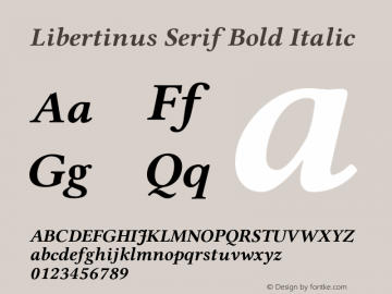 Libertinus Serif Bold Italic Version 7.031;RELEASE图片样张