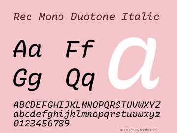 Rec Mono Duotone Italic Version 1.074 Font Sample