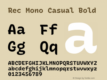 Rec Mono Casual Bold Version 1.077图片样张