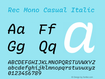 Rec Mono Casual Italic Version 1.077 Font Sample