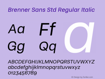 c78206610a966e82 - subset of Brenner Sans Std Reg Ita Version 1.0; 2018图片样张