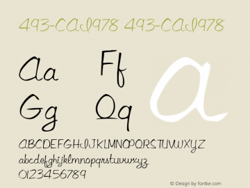 493-CAI978 493-CAI978 Version 3.0 Font Sample