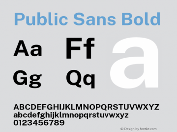 Public Sans Bold Version 2.000; ttfautohint (v1.8.1) Font Sample