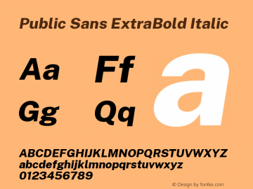 Public Sans ExtraBold Italic Version 2.000; ttfautohint (v1.8.1) Font Sample