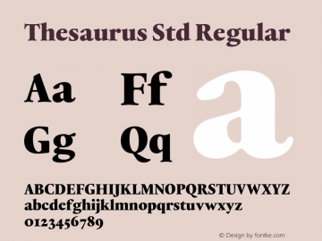 Thesaurus Std Black Version 1.000;PS 001.000;hotconv 1.0.88;makeotf.lib2.5.64775图片样张