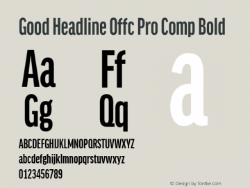 Good Head Offc Pro Comp Bold Version 7.504; 2014; Build 1020图片样张