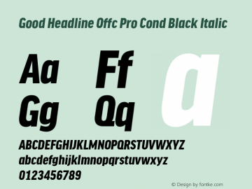 Good Head Offc Pro Cond Black Italic Version 7.504; 2010; Build 1022图片样张