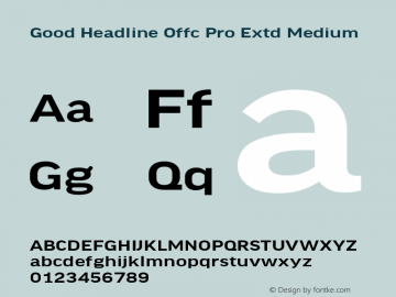 Good Head Offc Pro Extd Medium Version 7.504; 2014; Build 1020图片样张
