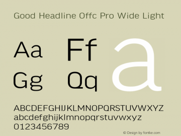 Good Head Offc Pro Wide Light Version 7.504; 2010; Build 1022图片样张