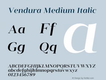 Vendura Medium Italic Version 1.001;hotconv 1.0.109;makeotfexe 2.5.65596图片样张