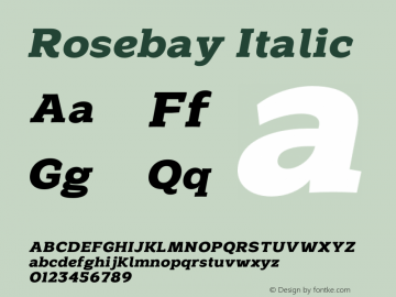 Rosebay Slab - Oblique Version 2.001;hotconv 1.0.109;makeotfexe 2.5.65596图片样张