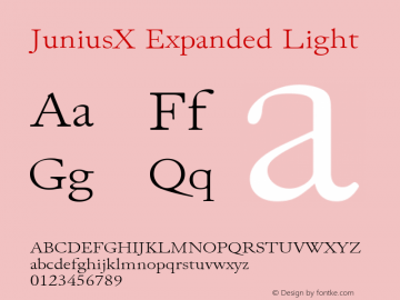 JuniusX Expanded Light Version 1.007图片样张