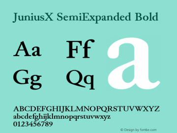 JuniusX SemiExpanded Bold Version 1.007图片样张