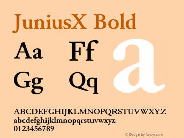 JuniusX Bold Version 1.008;hotconv 1.0.109;makeotfexe 2.5.65596 Font Sample