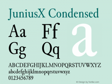 JuniusX Condensed Version 1.008;hotconv 1.0.109;makeotfexe 2.5.65596图片样张