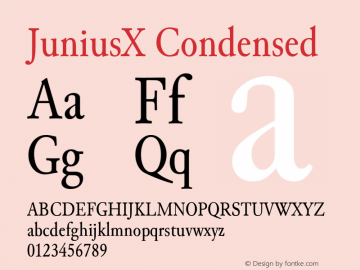 JuniusX Condensed Version 1.008图片样张