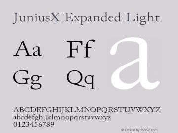 JuniusX Expanded Light Version 1.008;hotconv 1.0.109;makeotfexe 2.5.65596 Font Sample