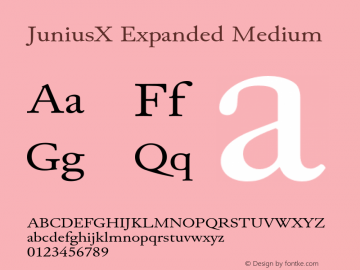 JuniusX Expanded Medium Version 1.008;hotconv 1.0.109;makeotfexe 2.5.65596 Font Sample