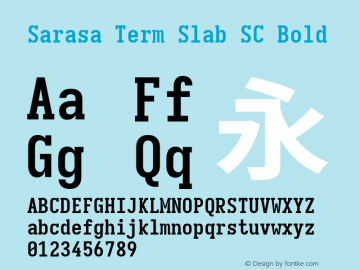 Sarasa Term Slab SC Bold 图片样张