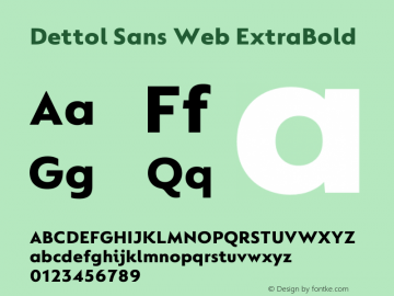 Dettol Sans Web ExtraBold Version 1.001图片样张