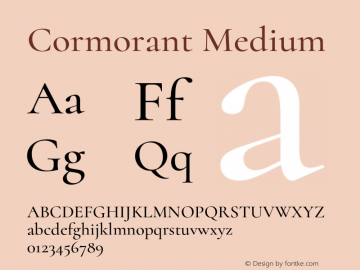 Cormorant Medium Version 3.613;FEAKit 1.0图片样张