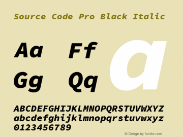 Source Code Pro Black Italic Version 1.052;hotconv 1.0.115;makeotfexe 2.5.65600 Font Sample